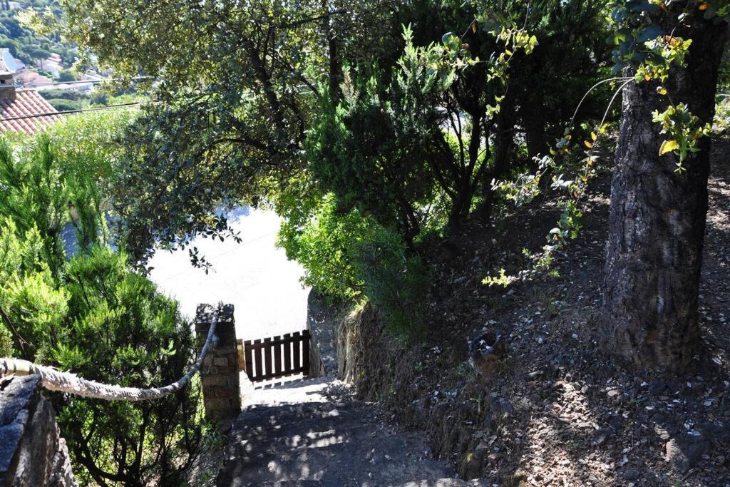 Villa Abeille : Douces Vacances D'Ete Avec Vue Mer Cavalaire-sur-Mer Exterior foto